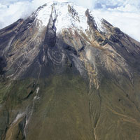 La cobertura vegetal en las zonas cuya altura es superior a los 4.500 msnm es casi inexistente y se llimita a plantas de porte bajo, especializadas en soportar temperaturas extremas. Nevado del Tolima.