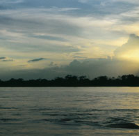 Al caer la noche sobre las aguas del Magdalena, la oscuridad cubre el maravilloso medio natural que prolifera gracias al generoso aporte del r�o.