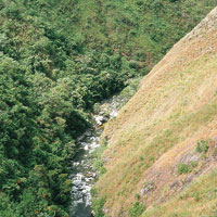 R�o Sombrerillos en cercan�as a Pitalito.