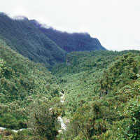 Nacimiento del r�o Cauca.