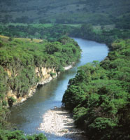 R�o Magdalena en Altamira.