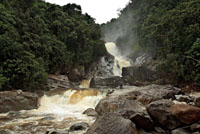 Imponentes torrentes descienden por las laderas lluviosas de la cordillera Occidental. Cascadas de Tapart&oacute; cerca de Andes, Antioquia. 