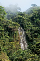Una de las cascadas del Santuario de Fauna y Flora Alto R&iacute;o Fonce, cerca de Charal&aacute;, Santander.
