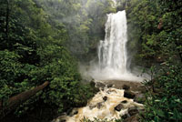 Salto del Hornoyaco, en la Serran&iacute;a de Los Churumbelos, departamento de Putumayo, con una altura de 60 metros aproximadamente.