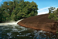 Peque&ntilde;o salto en ca&ntilde;o Lapa, Parque Nacional Natural Tuparro, en el departamento del Vichada.