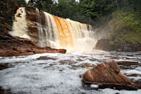 El Raudal Alto de Ca&ntilde;o Mina, uno de los afluentes del r&iacute;o In&iacute;rida, por el que fluyen aguas de color t&eacute;, por la gran carga de taninos, es uno de los m&aacute;s sobrecogedores de la Amazonia colombiana.