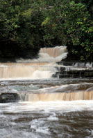Las cascadas de La Chorrera en el curso medio del r&iacute;o Igaraparan&aacute;, son muy respetadas por los pueblos ind&iacute;genas de la Amazonia. 