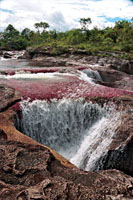 Ca&ntilde;o Cristales es uno de los m&aacute;s bellos del pa&iacute;s, por el trabajo del agua sobre la roca y su fondo  tapizado por plantas acu&aacute;ticas de colores vistosos.