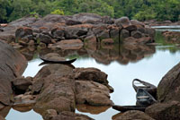 Remanso del r&iacute;o Vaup&eacute;s al lado del raudal Tucunar&eacute;.