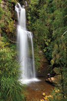 La cascada El Chifl&oacute;n en el departamento de Cundinamarca, tiene 70 metros de altura. En verano es tan s&oacute;lo un peque&ntilde;o cord&oacute;n de agua.