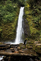 Cascada El Oasis, un peque&ntilde;o tesoro escondido en el departamento de Caldas.