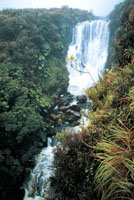 Salto del r&iacute;o Bed&oacute;n en el Parque Nacional Natural Purac&eacute;, departamento del Cauca.