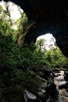 Puente natural sobre el r&iacute;o Suaza, departamento del Huila.