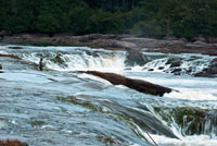 Cachivera Aracapur&iacute; en el r&iacute;o Vaup&eacute;s, aguas abajo de Mit&uacute;, capital del departamento.