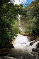 Las ca&iacute;das de agua son lugares de descanso para quienes se alejan de la vida agitada de la ciudad. Cascada Juan Cur&iacute;, departamento de Santander.