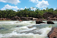 Pescadores deportivos en los raudales del r&iacute;o Tuparro, Orinoquia colombiana.