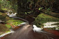 Casacadas de la quebrada La Lindosa, valle del r&iacute;o Suaza, Huila.