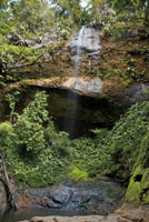 Muchos de los raudales y ca&iacute;das de agua est&aacute;n en lugares apartados y son pr&aacute;cticamente desconocidos para la mayor&iacute;a de la gente. Cascada La Sierpe, Parque Nacional Natural Bah&iacute;a M&aacute;laga, Valle del Cauca.