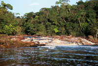 Muchos de los raudales y ca&iacute;das de agua est&aacute;n en lugares apartados y son pr&aacute;cticamente desconocidos para la mayor&iacute;a de la gente. Raudal Guacamayas en Ca&ntilde;o Mina, Guain&iacute;a. 