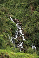 Las fuentes de agua, tanto subterr&aacute;neas como de superficie, son un recurso limitado que debemos proteger. Quebrada Las Nereidas, Caldas.