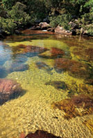 Aguas cristalinas en la Serran&iacute;a de La Macarena.