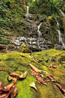 El desarrollo de la vida est&aacute; &iacute;ntimamente ligado a la presencia del agua. Cascada Las Mieles, Tolima.