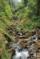 El flujo de una corriente busca siempre un equilibrio y depende de la pendiente, la forma del cauce, la cantidad de agua y los sedimentos que transporta.