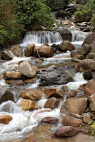 El flujo de una corriente busca siempre un equilibrio y depende de la pendiente, la forma del cauce, la cantidad de agua y los sedimentos que transporta.