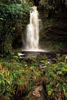 Donde las corrientes de agua se precipitan libremente sobre los abismos, se escenifica uno de los espect&aacute;culos m&aacute;s sobrecogedores de la naturaleza. Una de las cascadas de La Lindosa en el valle del r&iacute;o Suaza, Huila.