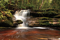 Roca con forma de la cabeza de serpiente frente a una peque&ntilde;a cascada que tributa al r&iacute;o Apaporis, departamento del Vaup&eacute;s.