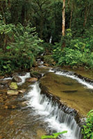Altura y caudal, tama&ntilde;o y forma, sonido y entorno de las ca&iacute;das de agua, son inmensamente variables. Termales de Santa Rosa de Cabal, Risaralda.