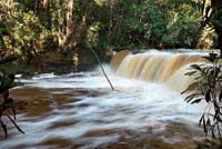 La altura, el caudal y la naturaleza que las rodea, determinan el valor esc&eacute;nico de las ca&iacute;das de agua. La Chorrera, Amazonas.
