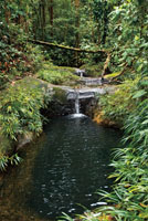 Ca&iacute;da de agua en forma de cuenco o palangana. Las Tres Mar&iacute;as, Bah&iacute;a M&aacute;laga, Valle del Cauca. 