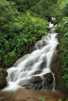 Cascada con pelda&ntilde;os estrechos en la Reserva de Aguas de Manizales.