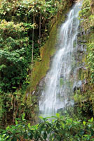 Cascada en velo de llovizna. Cascada Cristales, Huila.
