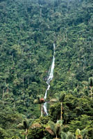 Ca&iacute;da en forma de cord&oacute;n, Sierra Nevada de Santa Marta.
