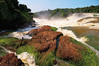 El raudal Jirijirimo del r&iacute;o Apaporis, en la Amazonia colombiana, es uno de los m&aacute;s caudalosos del pa&iacute;s.