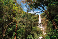 La naturaleza del entorno de las ca&iacute;das de agua es uno de los principales atributos en la estimaci&oacute;n de su valor paisaj&iacute;stico. Salto Juan Cur&iacute;, Santander.