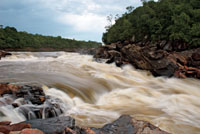 Raudal Alto del R&iacute;o In&iacute;rida, Guain&iacute;a.
