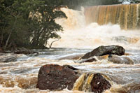Muchas ca&iacute;das de agua de gran belleza esc&eacute;nica se localizan en regiones de topograf&iacute;a plana y alejadas de las monta&ntilde;as. Salto Tor&oacute;n, Venezuela.
