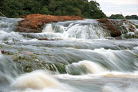 Los raudales representan obst&aacute;culos para los desplazamientos de algunos animales acu&aacute;ticos.
