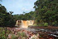 Raudal Alto de Ca&ntilde;o Mina, Guain&iacute;a.