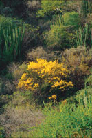 Zona �rida en los alrededores de Santa Marta.