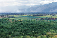 En primer plano, reserva forestal de la Estaci�n Biol�gica El V�nculo, al fondo el valle del r�o Cauca.
