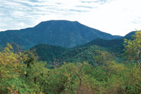 La continuidad que hay entre los bosques secos costeros y las selvas subh�medas y h�medas del pidedemonte de la Sierra Nevada de Santa Marta, es de gran importancia para la existencia de la biodiversidad en la regi�n.