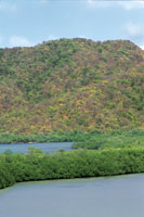 En el Parque Nacional Natural Tayrona los manglares contrastan con la vegetaci�n seca de las monta�as.