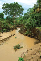 Quebrada estacional en la reserva La Laguna en los Montes de Mar�a, departamento de Bol�var.