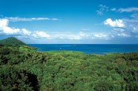 En los alrededores del Peak, la mayor elevaci�n de Providencia se encuentran los bosques secos mejor conservados de la isla.