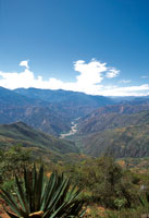 Los valles transversales de la cordillera andina son enclaves secos donde predomina la vegetaci�n xerof�tica. Ca��n del r�o Chicamocha.