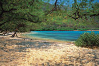 Por la belleza de sus paisajes, algunas zonas del bosque seco, como la que rodea la bah�a de Chengue, son un importante recurso para el turismo ecol�gico.